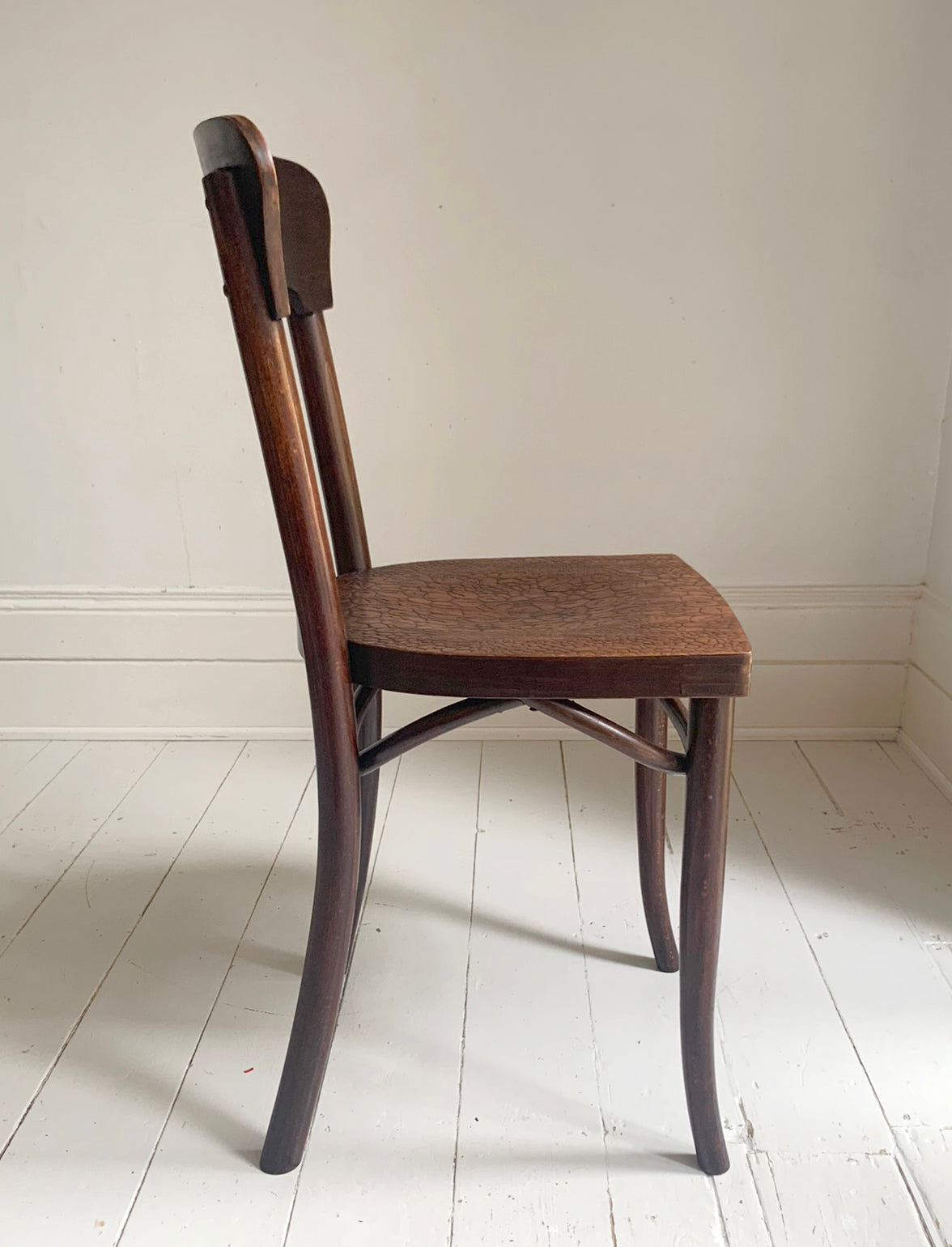 A Pair of Crocodile Embossed Bentwood Cafe / Dining Chairs, a rare find